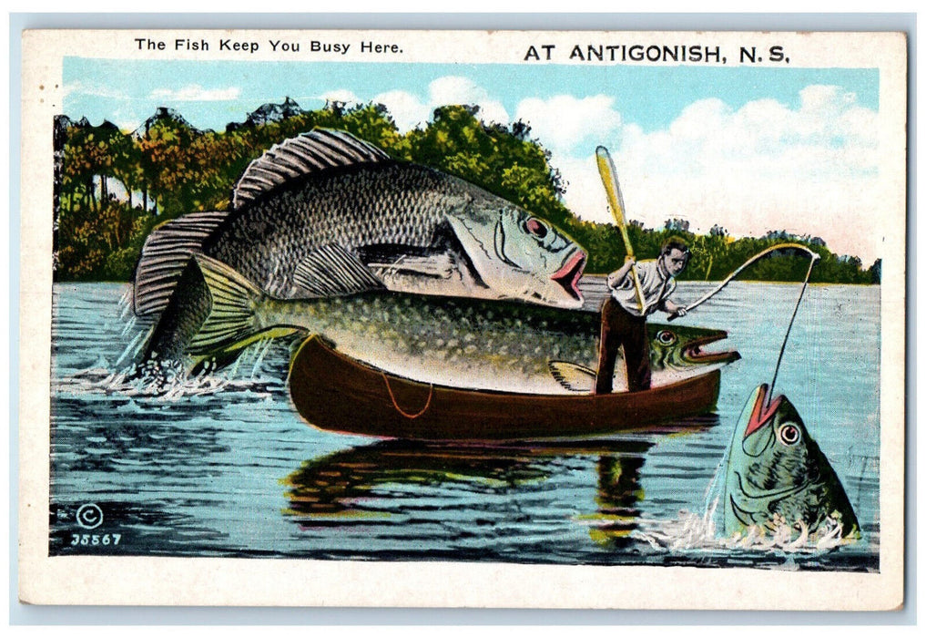 c1920's Two Giant Fishes Keep Busy Here Antigonish Nova Scotia Canada Postcard