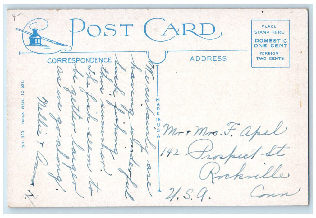 c1920's Two Giant Fishes Keep Busy Here Antigonish Nova Scotia Canada Postcard