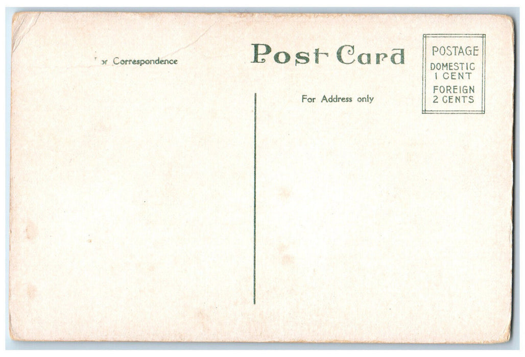 c1920's Ontario Navigation Co.'s Fleet Lewiston & Toronto Canada Postcard