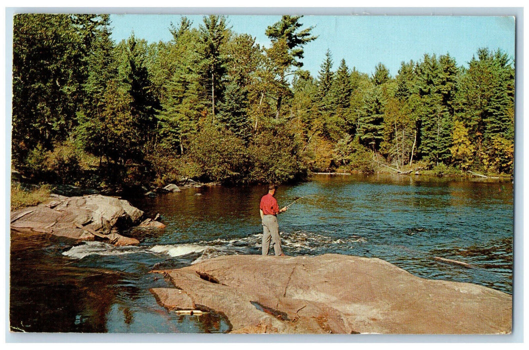 1959 Greetings from Edgewater Motel Napanee Ontario Canada Posted Postcard