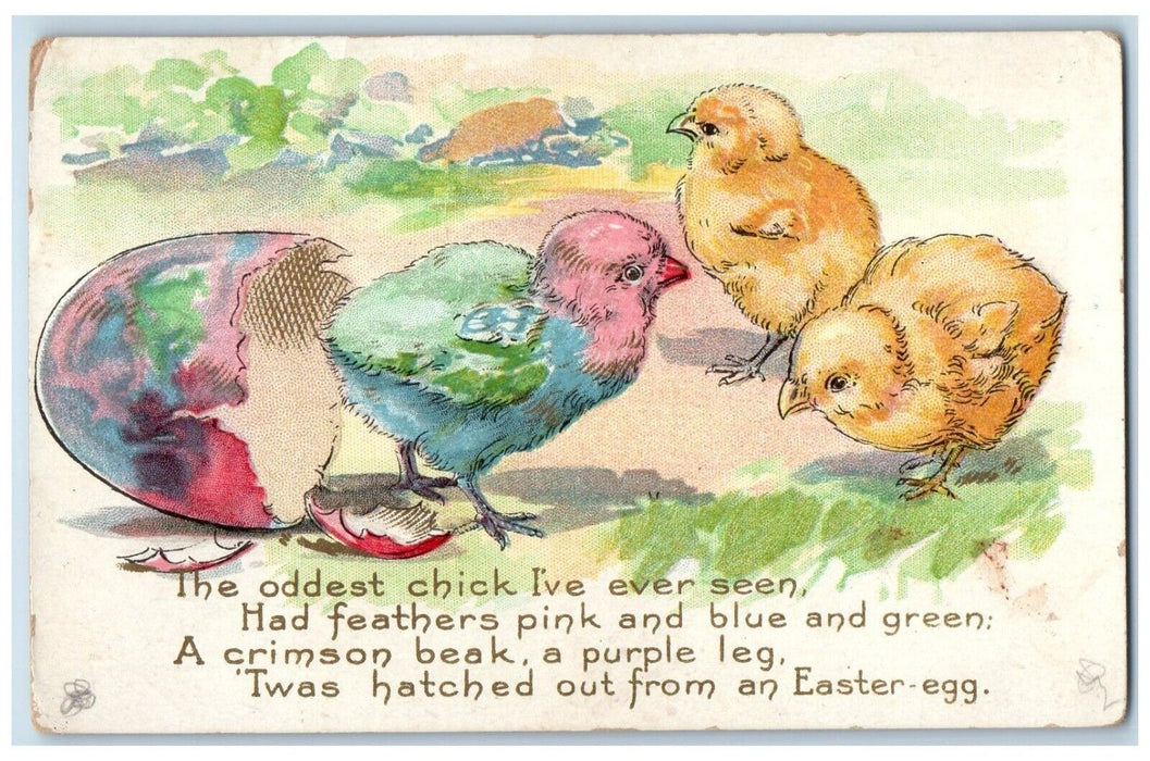 c1910's Easter Hatched Egg Chicks Pink Blue Green Feathers Embossed Postcard