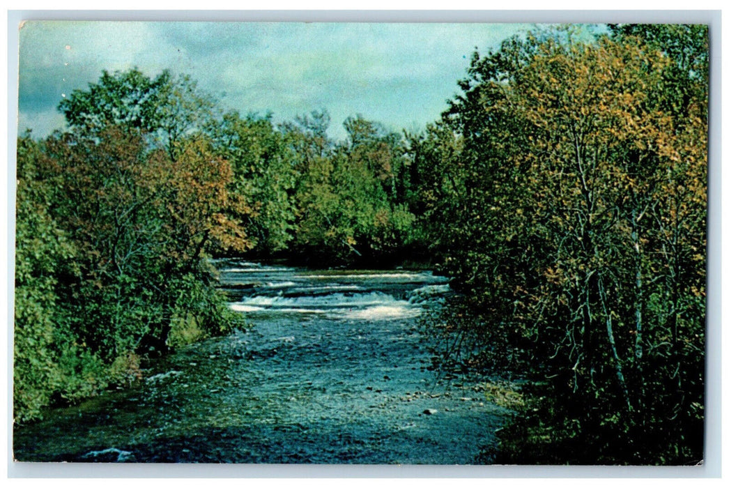1968 The Manitou River Manitoulin Island Ontario Canada Vintage Postcard