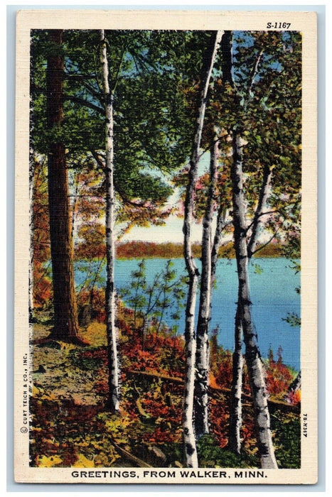 1940 Greetings From Walker Minnesota MN Forest Lake River Trees Antique Postcard