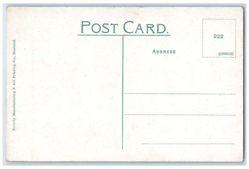 c1910 Railroad Mount McKay Fort William Ontario Canada Antique Postcard