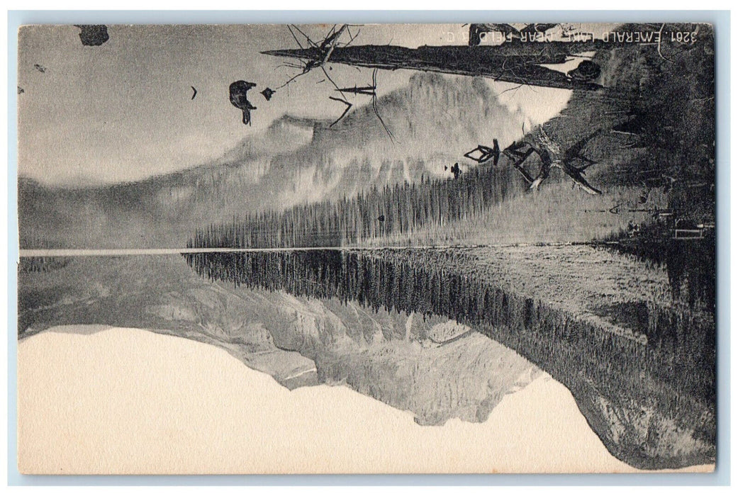 c1910 View of Mountains Emerald Lake Near Field BC Canada Antique Postcard