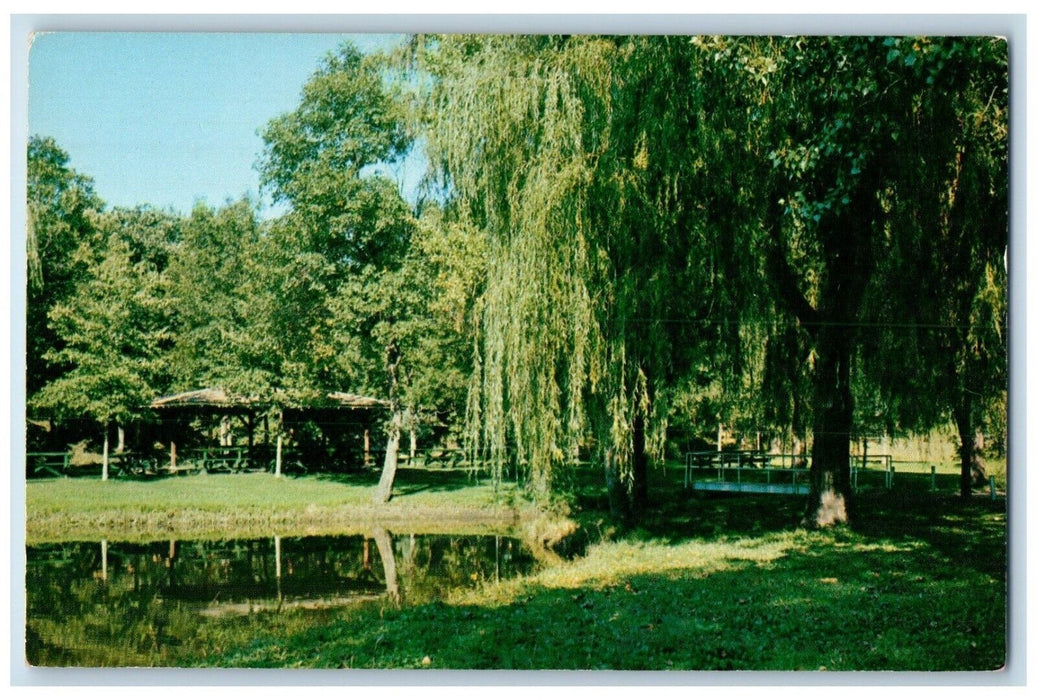1960 Scenic View Todd Park Pond Hut Austin Minnesota MN Vintage Antique Postcard