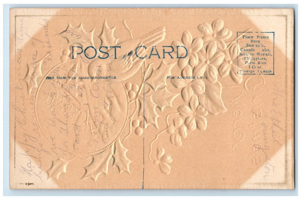 c1910's Merry Christmas Bird Holly Berries Flowers Airbrushed Embossed Postcard