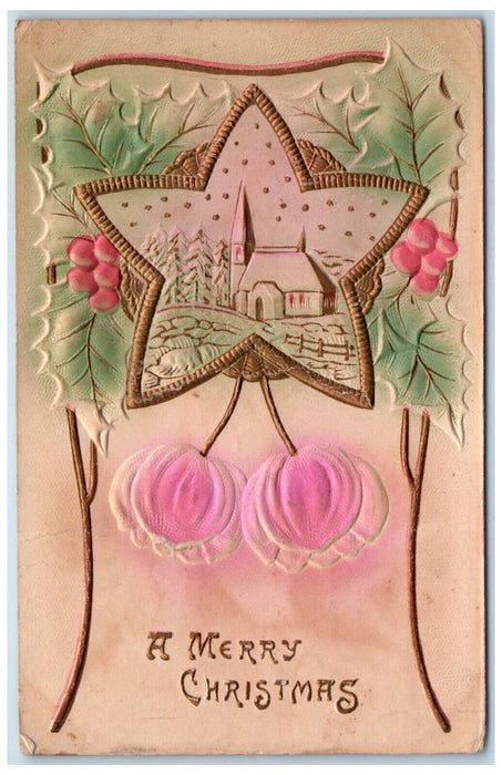 c1910's Merry Christmas Star Flowers Holly Berries Airbrushed Embossed Postcard