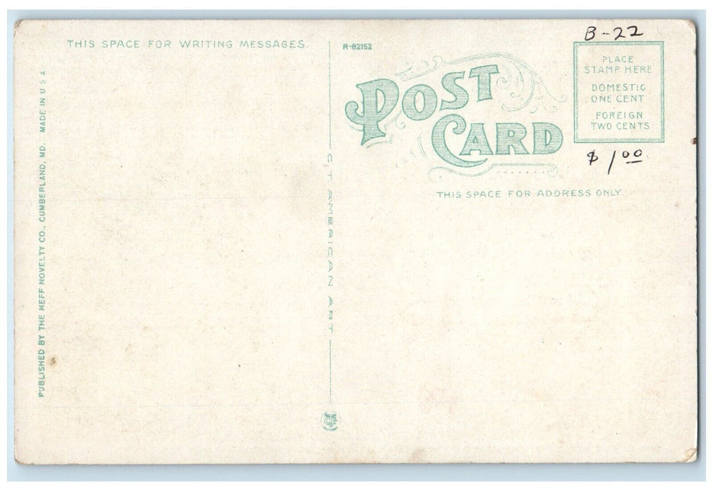 c1920 One Beauty Spots Along National Highway East Cumberland Maryland Postcard
