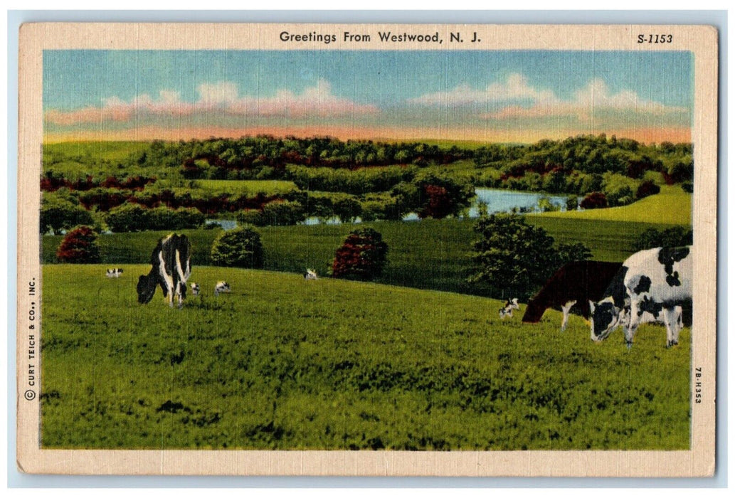 1956 Greetings From Westwood New Jersey NJ, Cows Field River View Postcard