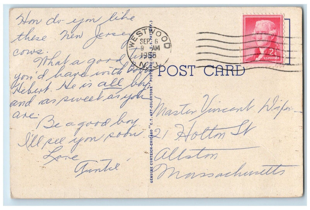 1956 Greetings From Westwood New Jersey NJ, Cows Field River View Postcard