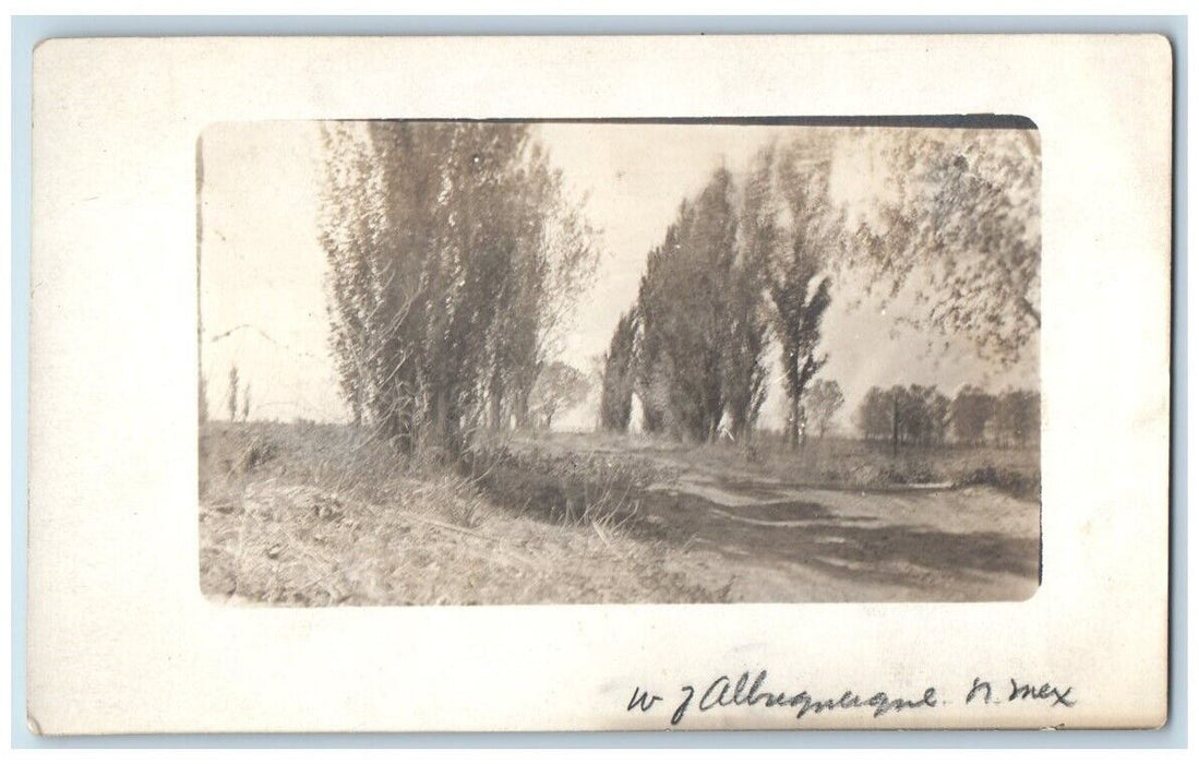 c1910's Scenic View West Of Albuquerque New Mexico NM RPPC Photo Postcard