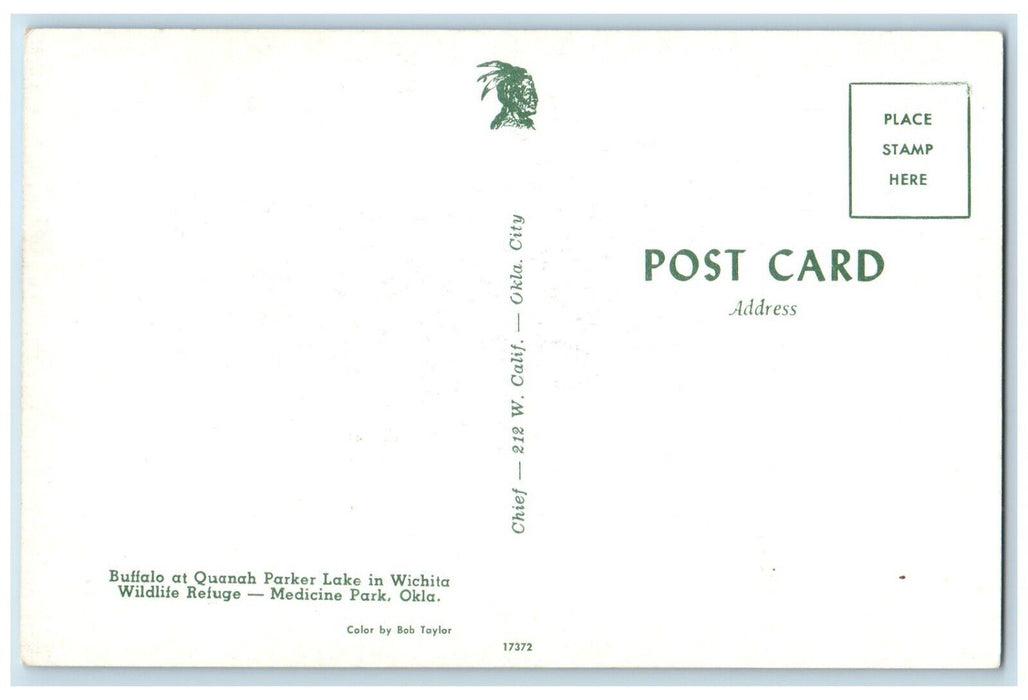 c1960 Buffalo Quanah Parker Lake Wichita Refuge Medicine Park Oklahoma Postcard