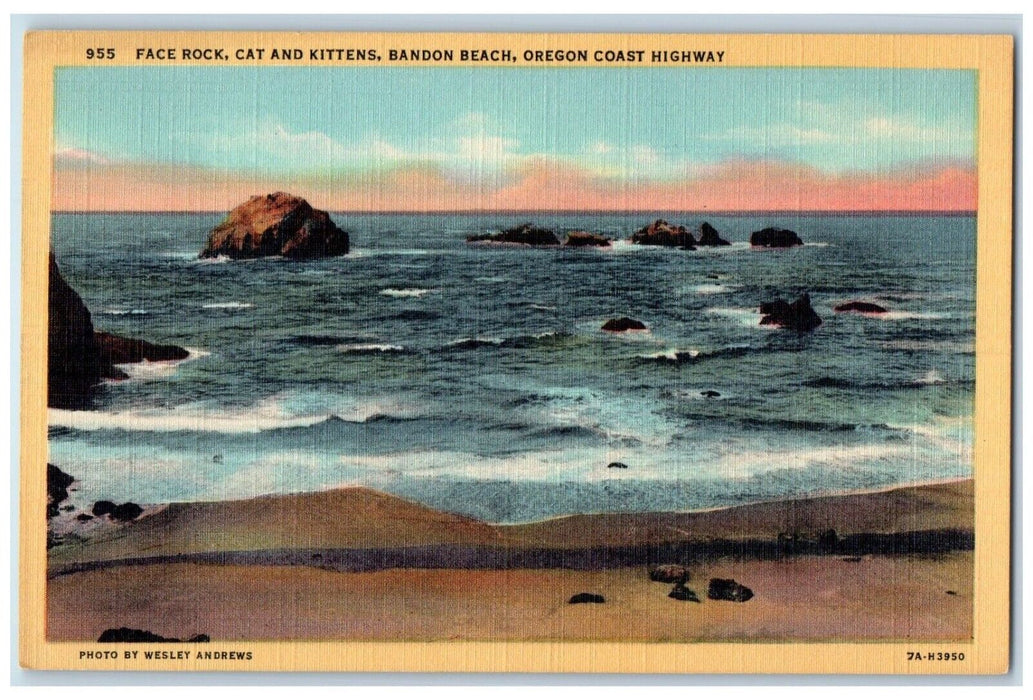 c1940 Face Rock Cat Kittens Bandon Beach Oregon Coast Highway Oregon OR Postcard