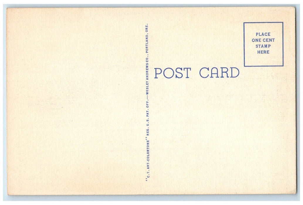 c1940 Face Rock Cat Kittens Bandon Beach Oregon Coast Highway Oregon OR Postcard