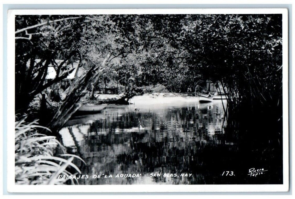 1956 Aguada Landscape View San Blas Nayarit Mexico RPPC Photo Posted Postcard