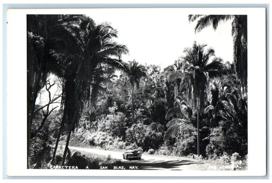 c1950's View Of Road to San Blas Nayarit Mexico RPPC Photo Unposted Postcard