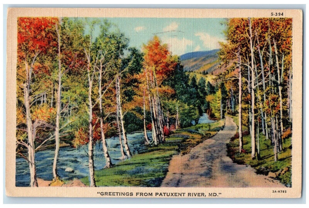 1944 Greetings From Patuxent River Indiana IN, Dirt Road River Trees Postcard