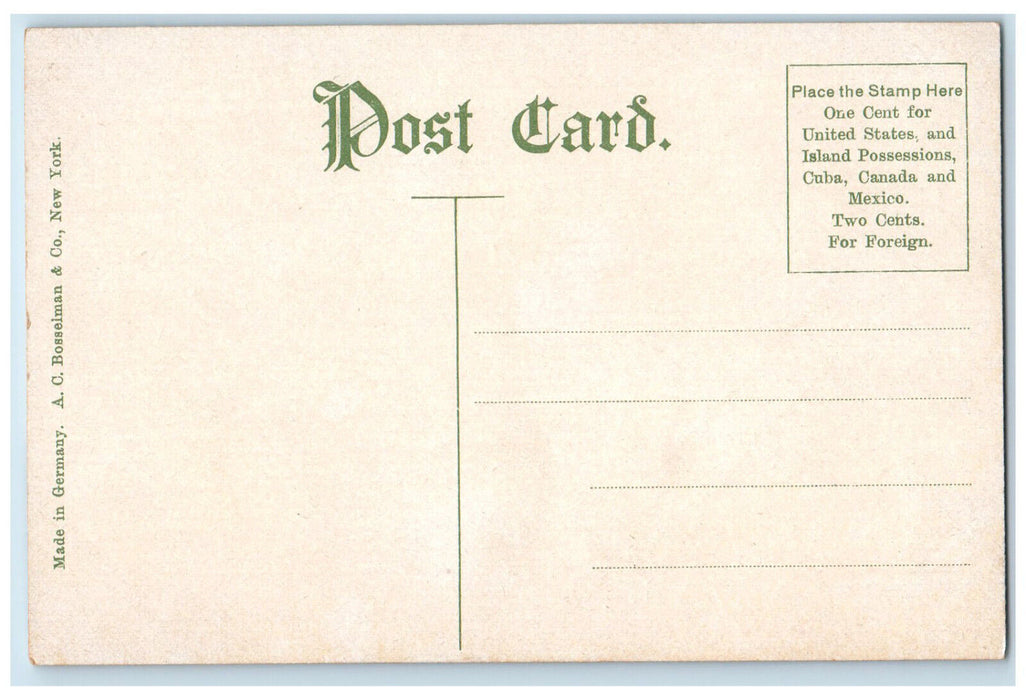 c1910 Central High School Buffalo New York NY Antique Unposted Postcard
