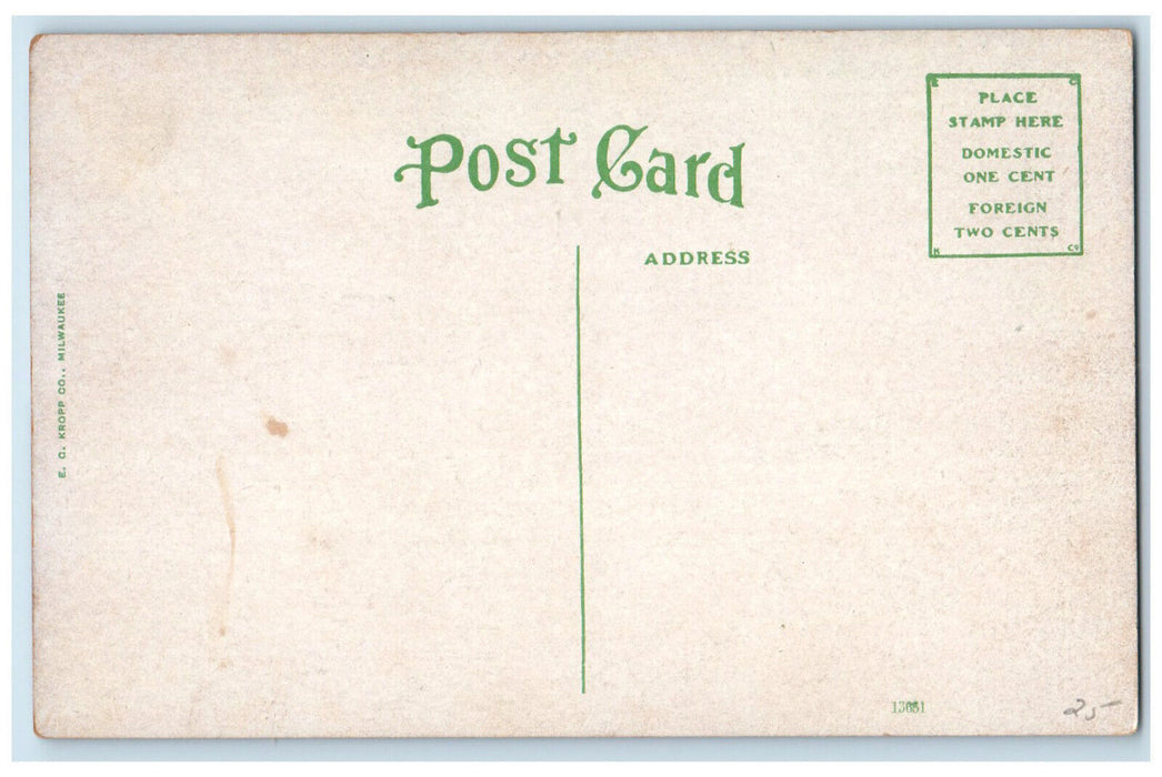 c1910 State Normal School Buffalo New York NY Antique Unposted Postcard