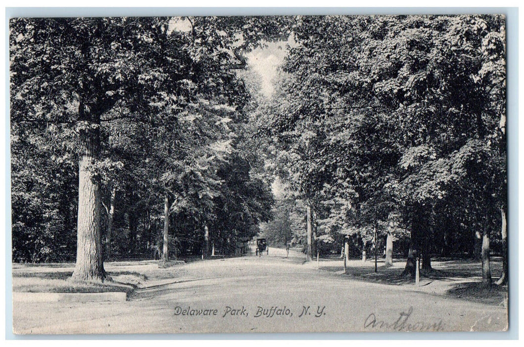 c1905 View of Delaware Park Buffalo New York NY Antique Posted Postcard