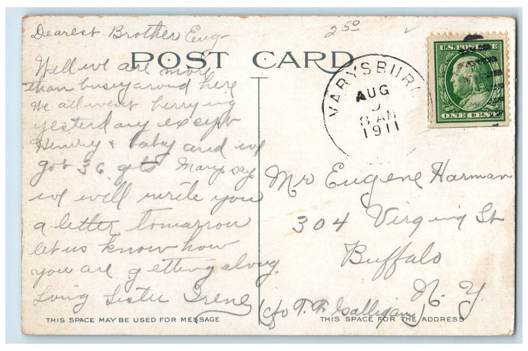 1911 Boat House Park Lake Buffalo New York NY Antique Posted Postcard