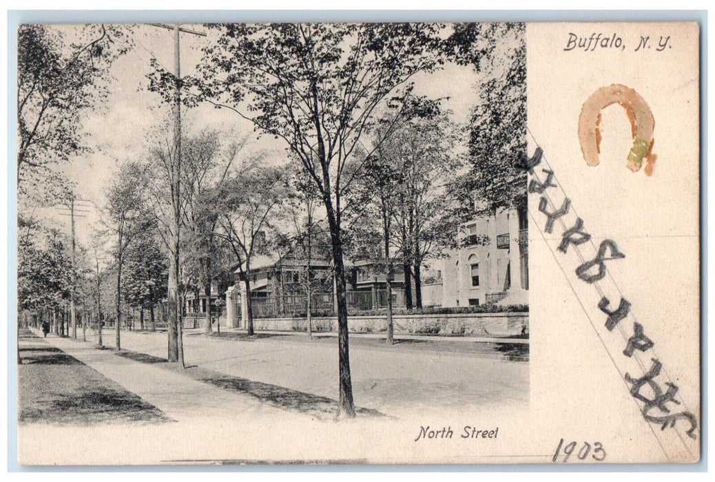 1903 North Street Scene Buildings Trees Buffalo New York NY Postcard