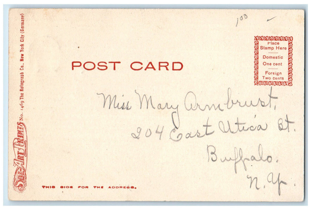 1903 North Street Scene Buildings Trees Buffalo New York NY Postcard