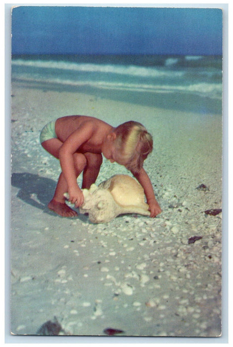 c1960's Beautiful Interesting Shells Fort Myers Beach Florida FL Postcard
