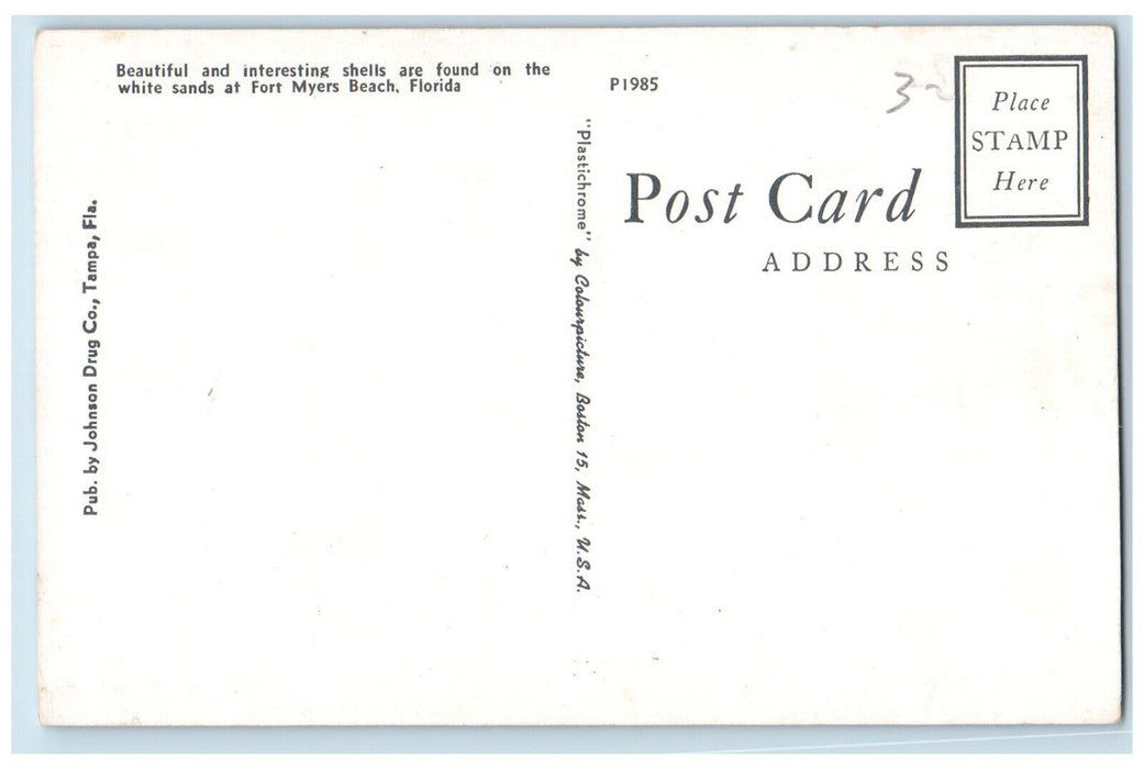 c1960's Beautiful Interesting Shells Fort Myers Beach Florida FL Postcard