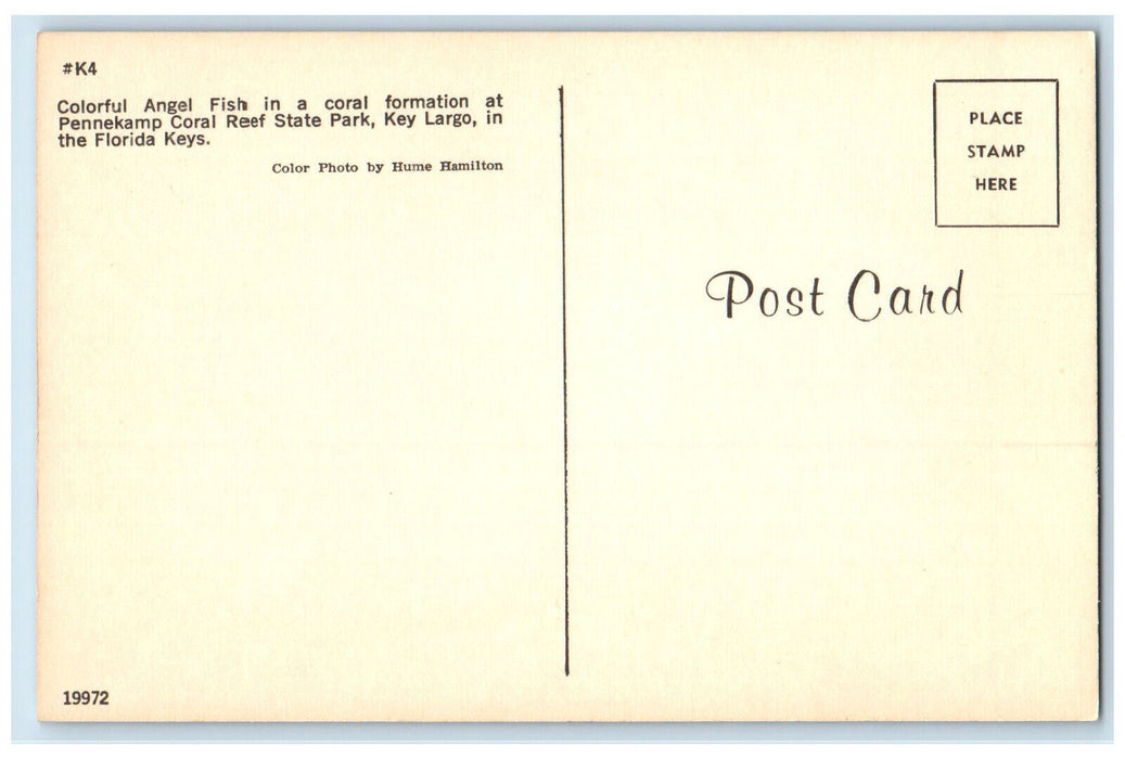 c1960's Pennekamp Coral Reef State Park Key Largo Florida FL Postcard