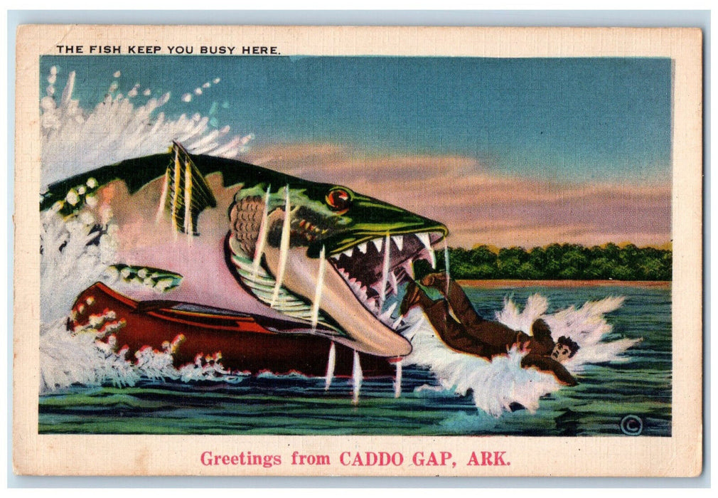 c1940's Giant Fish Eating Man Greetings from Caddo Gap Arkansas AR Postcard