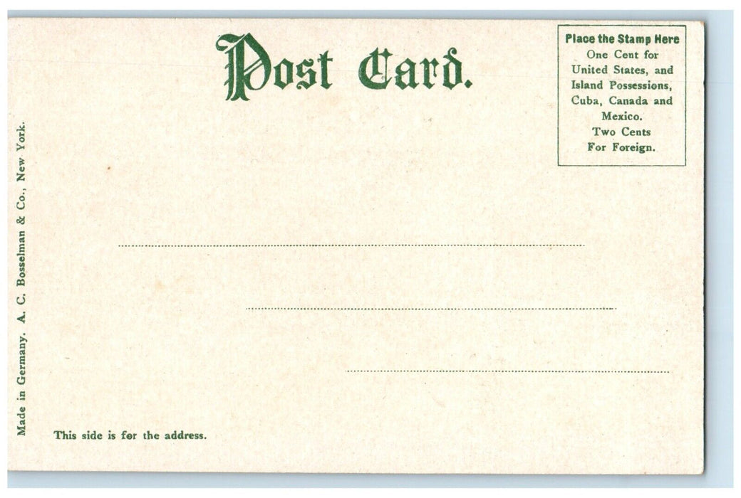 c1905 White Hall Palm Beach Florida South And East View Building Postcard