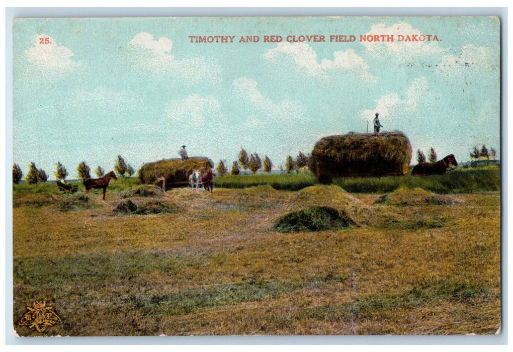 c1910 Timothy and Red Clover Field North Dakota ND Antique Unposted Postcard