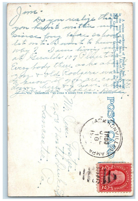 c1920's Orange and Grapefruit Holly Hill Groves Davenport Florida FL Postcard