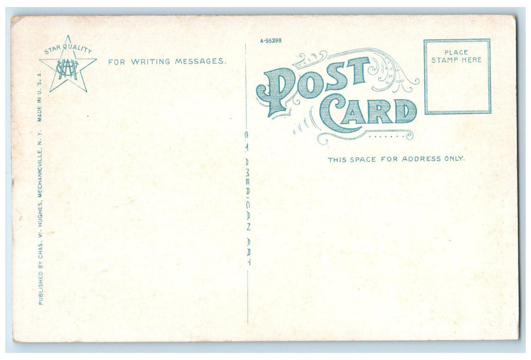c1920's Stamford Valley From Mohawk Trail Massachusetts MA Unposted Postcard