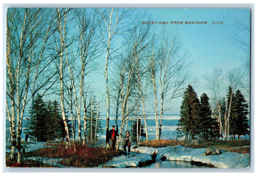 c1950's Greetings from Saginaw Michigan MI Vintage Unposted Postcard