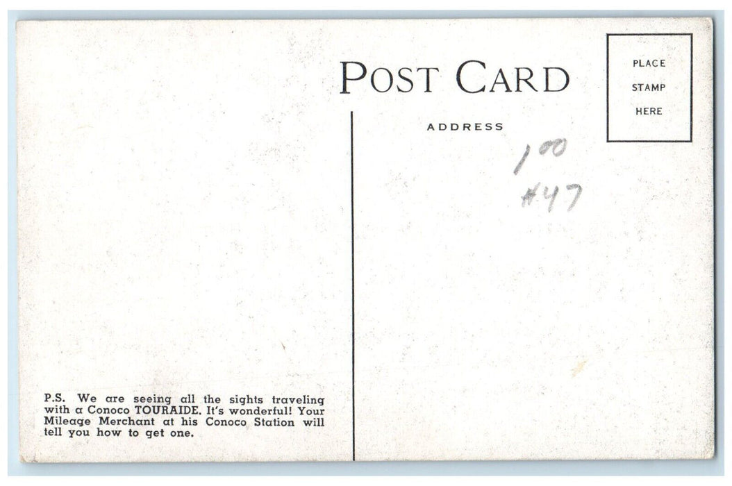 c1910 Oregon Coast Highway Alsea Bay Waldport Classic Car Road Trees OR Postcard