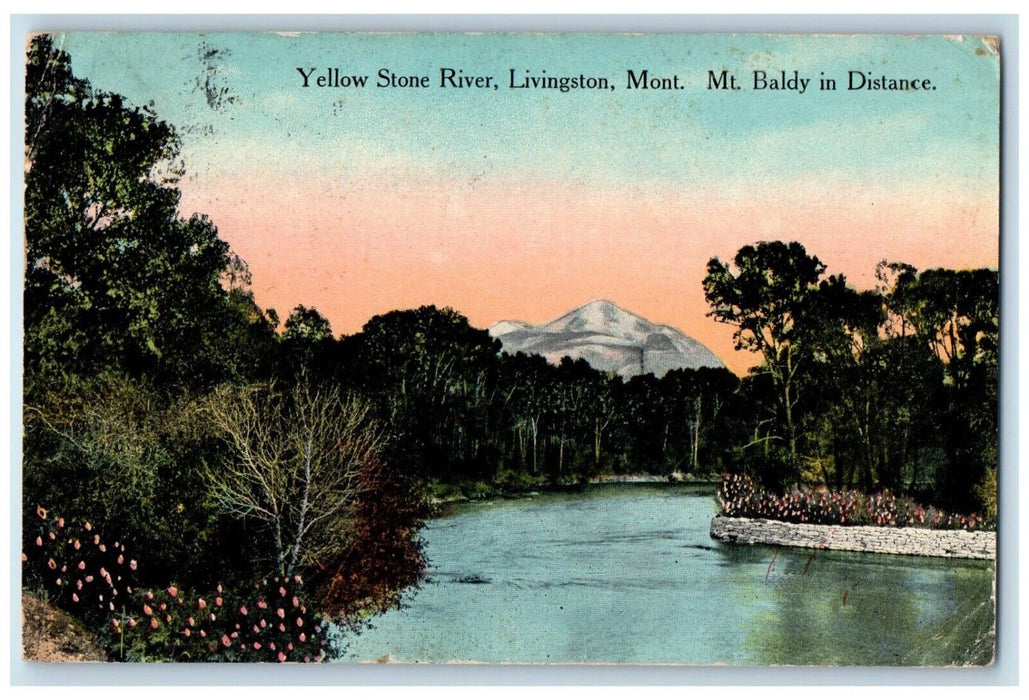 1914 Yellow Stone River Livingston Montana MT, Mt. Baldy In Distance Postcard