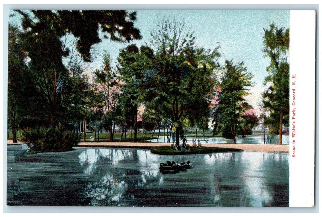 c1905 Scene In White's Park Concord New Hampshire NH Unposted Antique Postcard