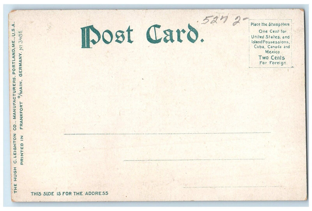 c1905 View Of Crobar Point Boat Cayuga Lake New York NY Antique Postcard