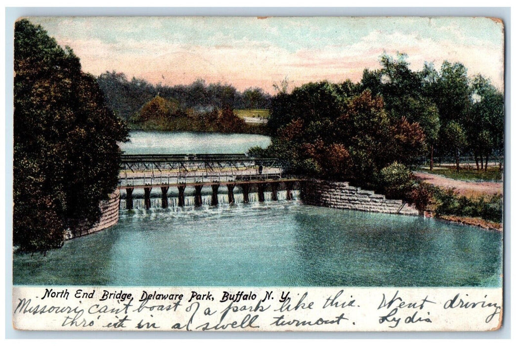 1908 North End Bridge Delaware Park Buffalo New York NY Posed Antique Postcard