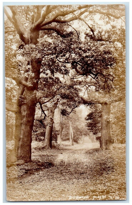 c1910's Sherwood Forest Path View Nottinghamshire England RPPC Photo Postcard