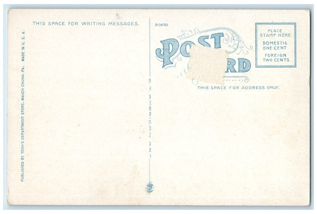 1920 Switch Back Railroad Showing Return Track Mauch Chunk Pennsylvania Postcard