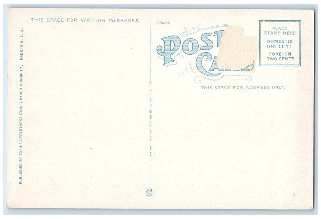 c1920 Mount Pisgah Trestle Switch Railroad Mauch Chunk Pennsylvania PA Postcard