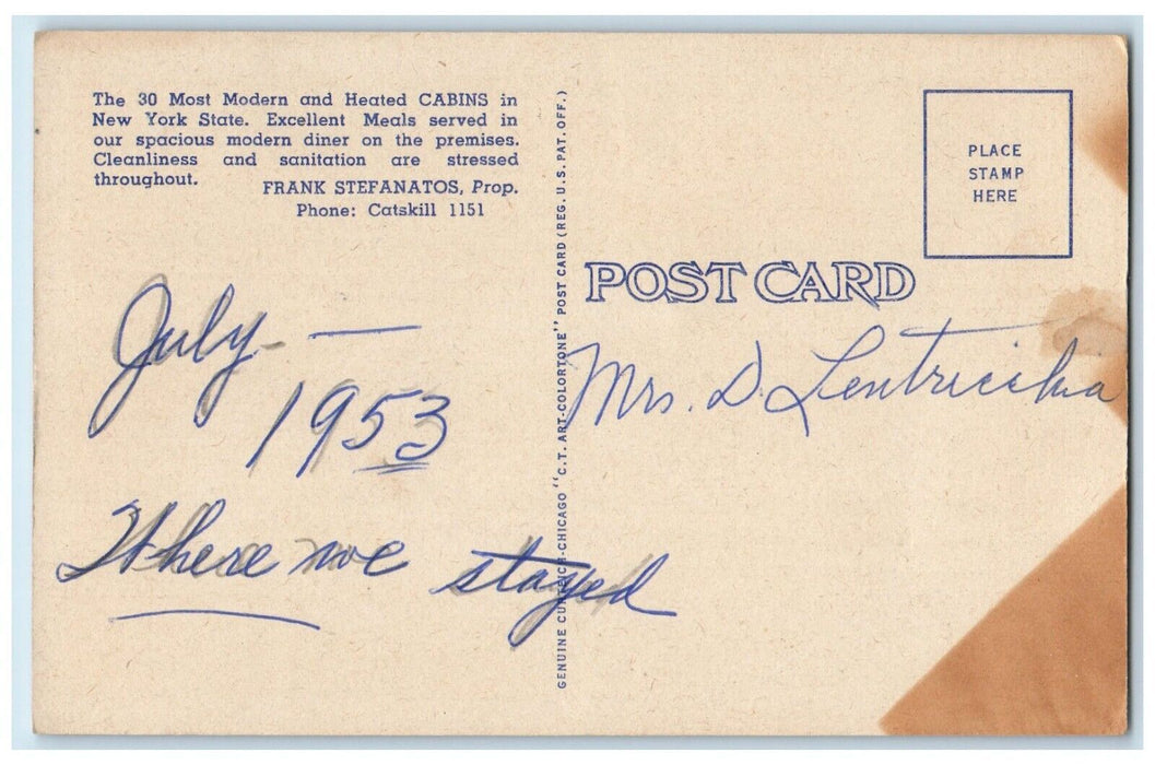 1953 Bird's Eye View Of Franks Cabins And Diner Catskill New York NY Postcard