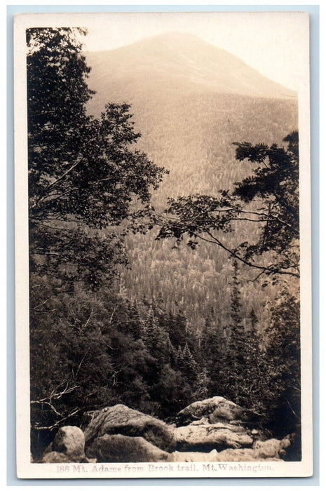 c1910's Mt. Adams From Brook Trail Mt. Washington RPPC Photo Antique Postcard