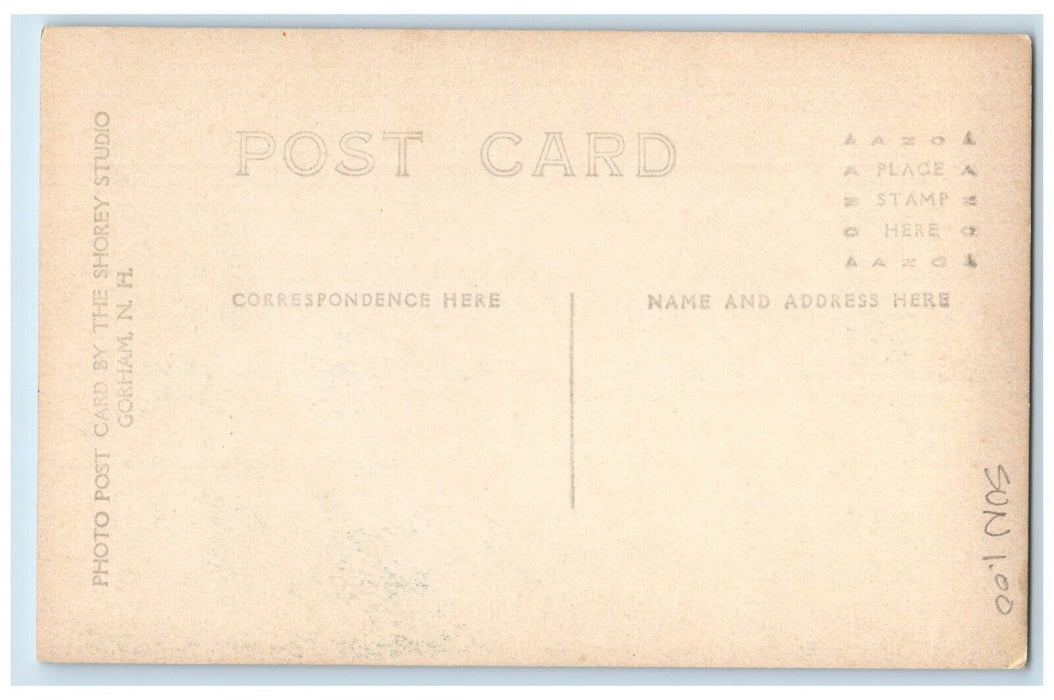 c1910's Mt. Adams From Brook Trail Mt. Washington RPPC Photo Antique Postcard