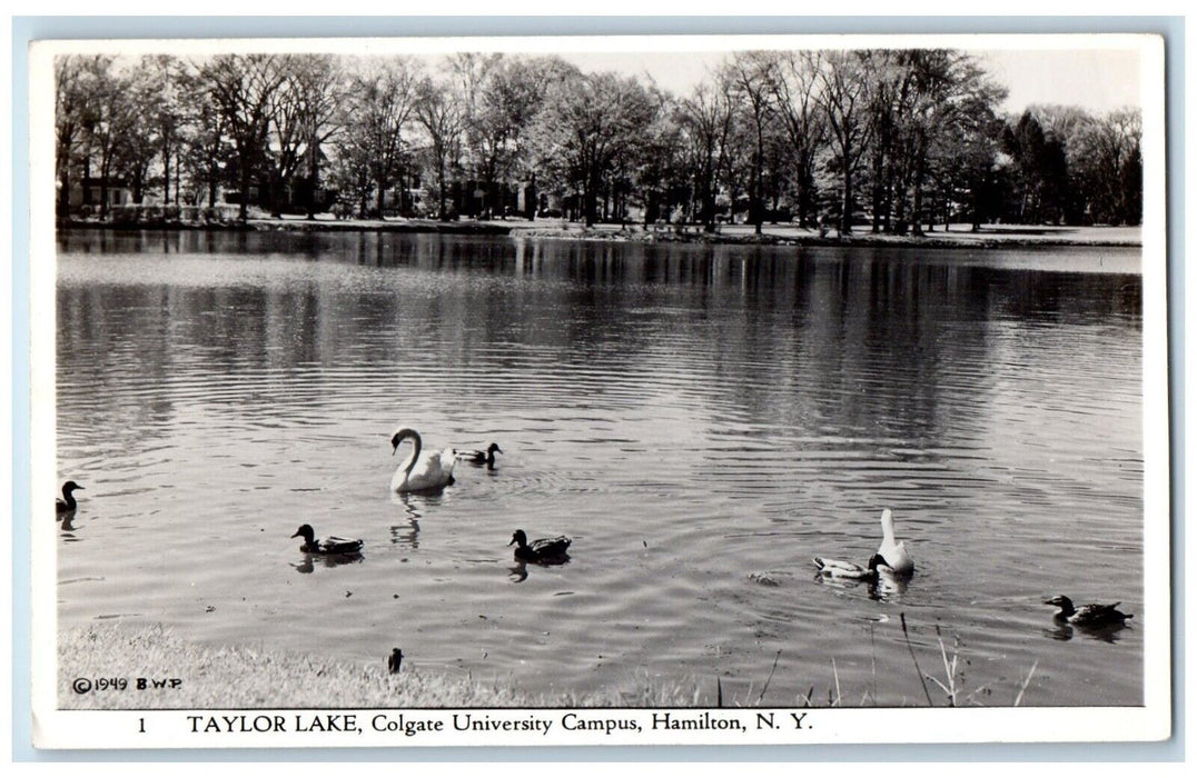 Taylor Lake Colgate University Campus Hamilton NY, Ducks RPPC Photo Postcard