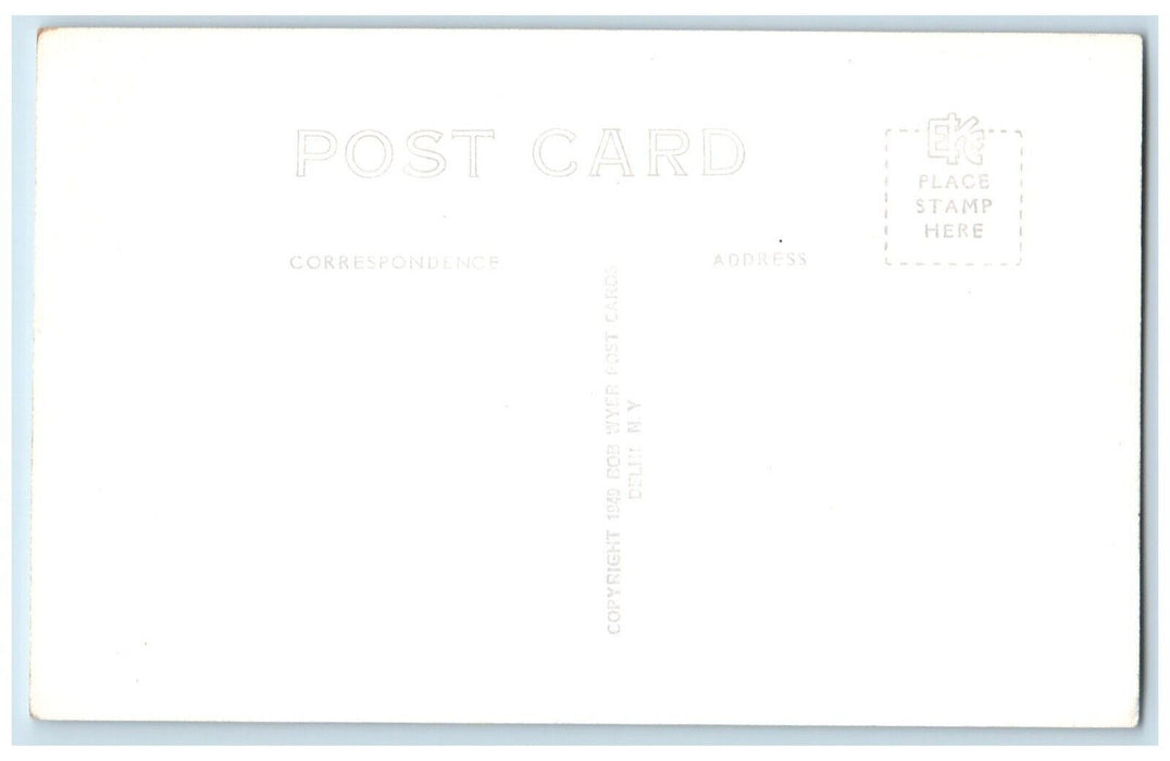 Taylor Lake Colgate University Campus Hamilton NY, Ducks RPPC Photo Postcard